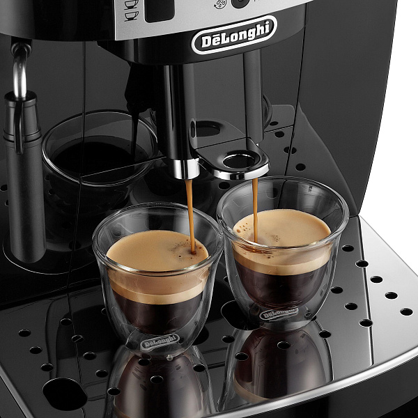 Delonghi ecam 22 110 b cheap